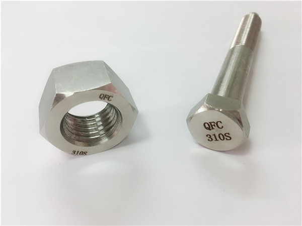 china screw ແລະ nut ss310s