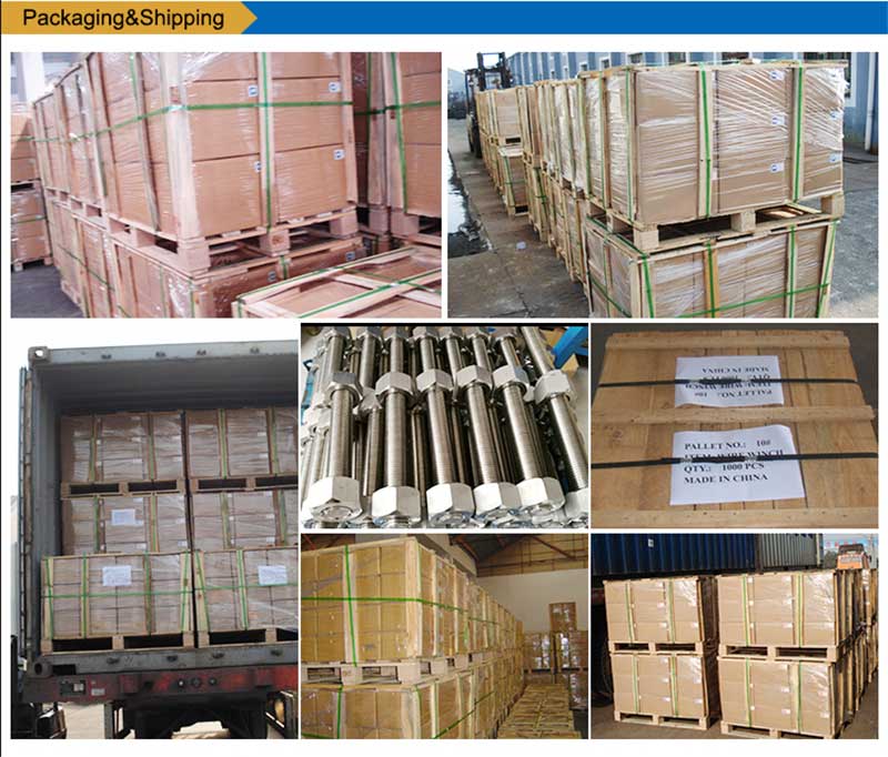 Stainless-Steel-List-Bolts-Screw-Fastener-packing